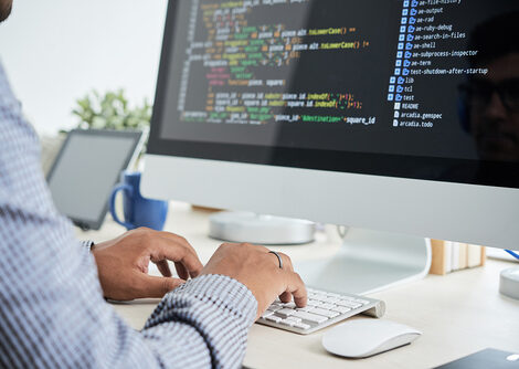 Lion Intergroup Informatics und Digitalisierung